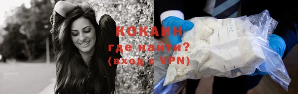 гашик Нея