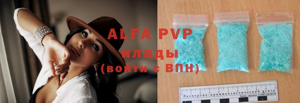 гашик Нея