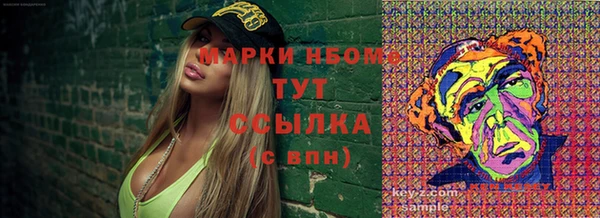 гашик Нея