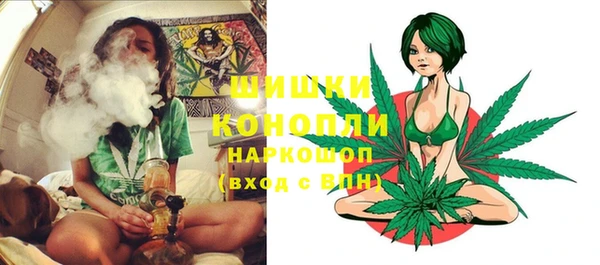 гашик Нея