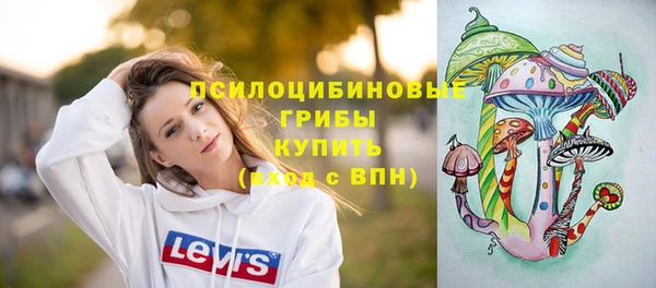 гашик Нея