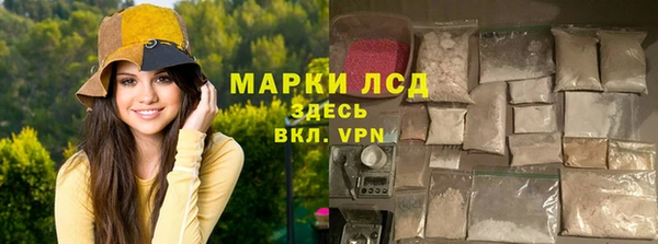 гашик Нея