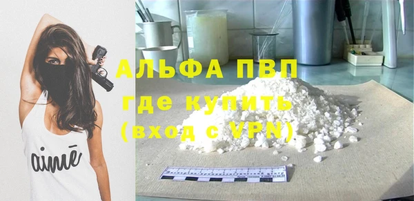 гидра Новокубанск