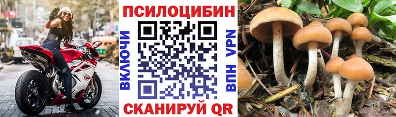 Галлюциногенные грибы GOLDEN TEACHER Печоры