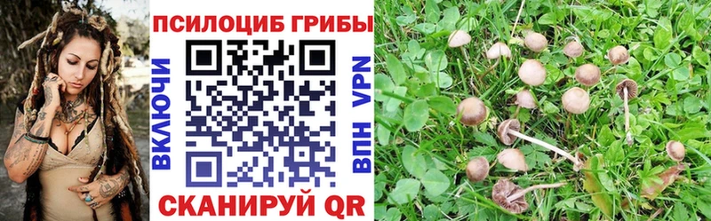 Псилоцибиновые грибы MAGIC MUSHROOMS  Печоры 